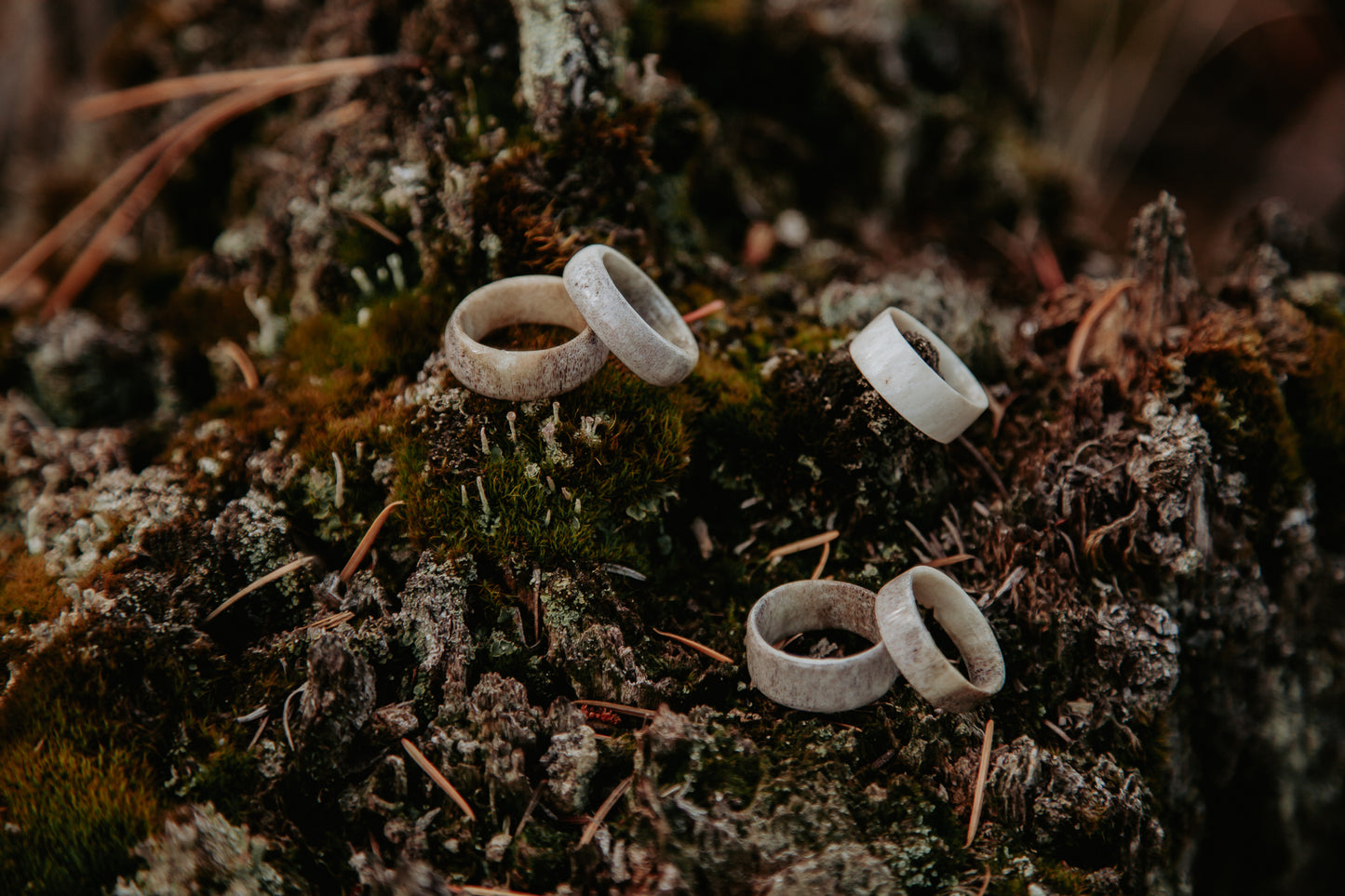 Antler Band