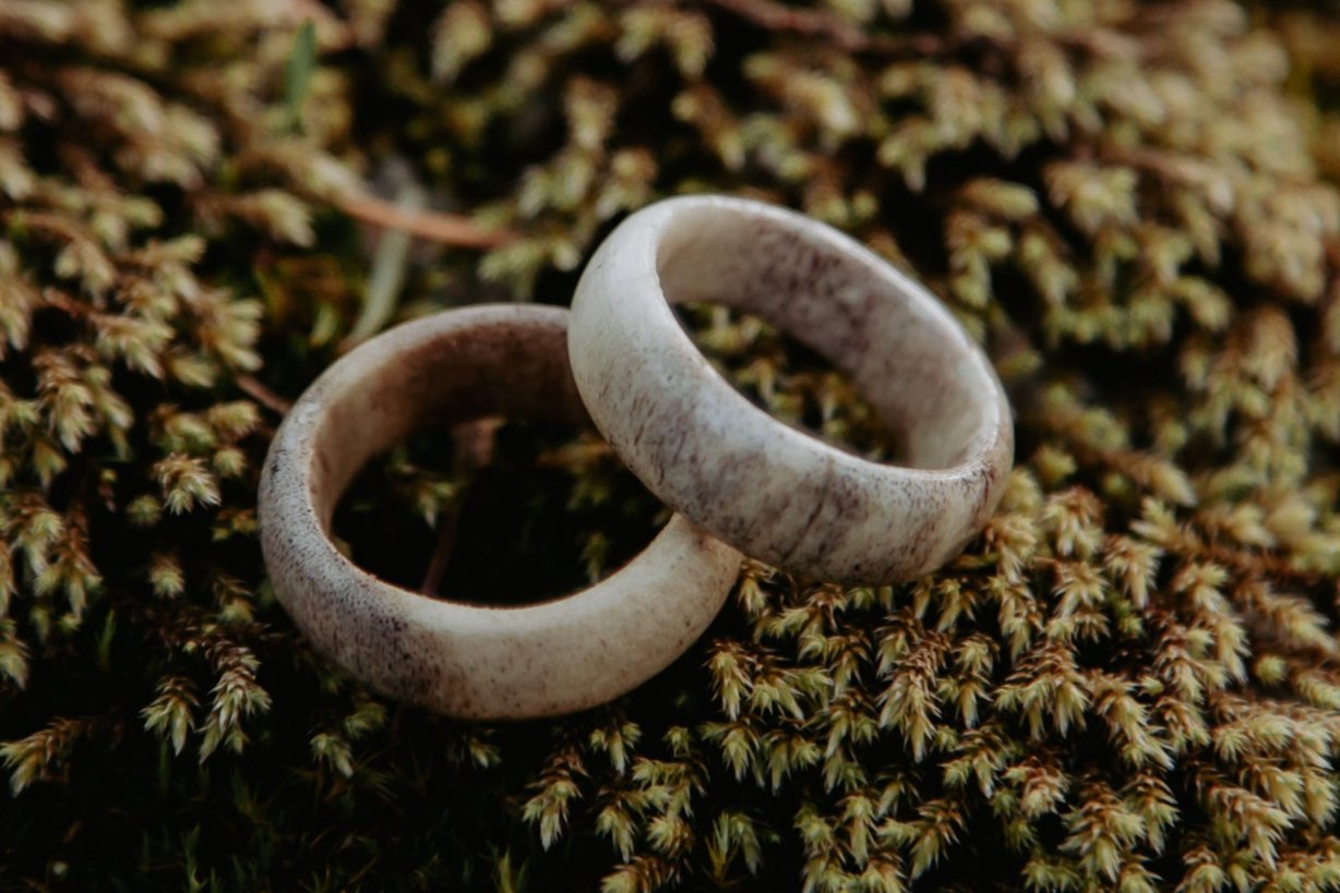 Antler Band