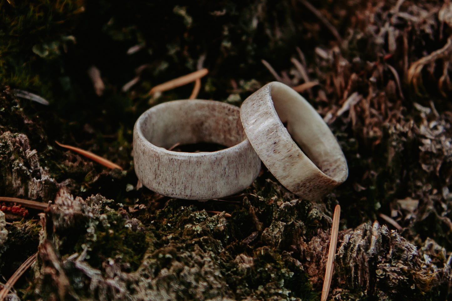 Antler Band