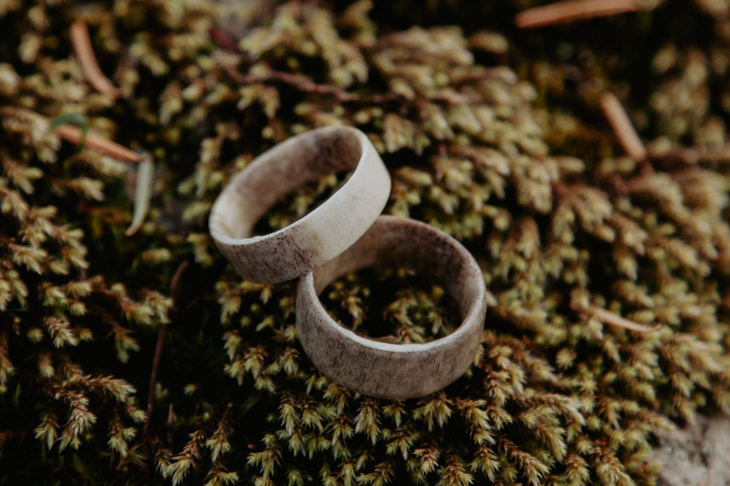 Antler Band