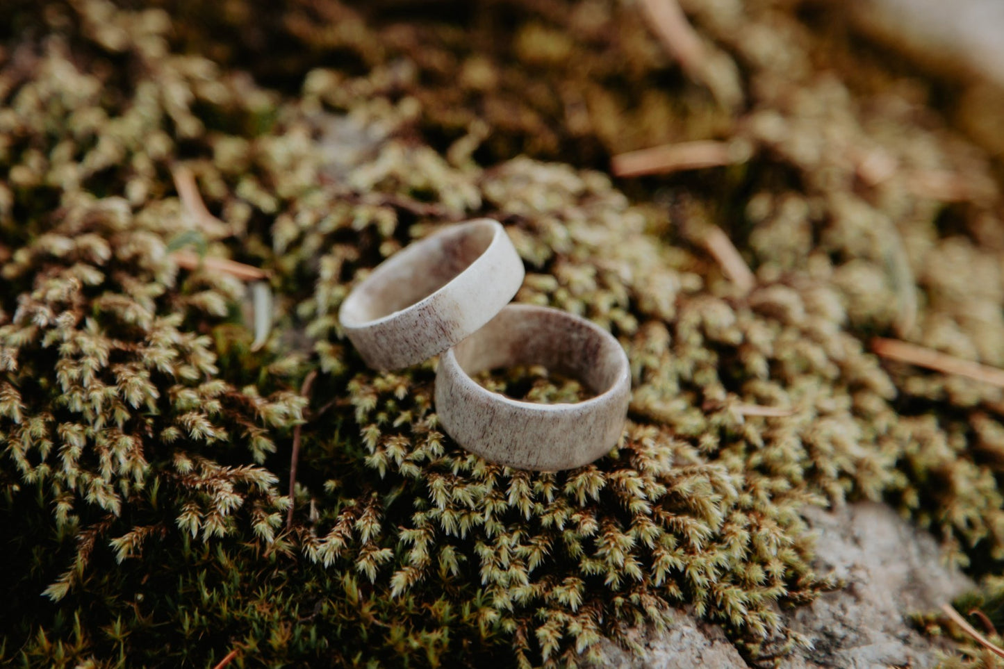 Antler Band