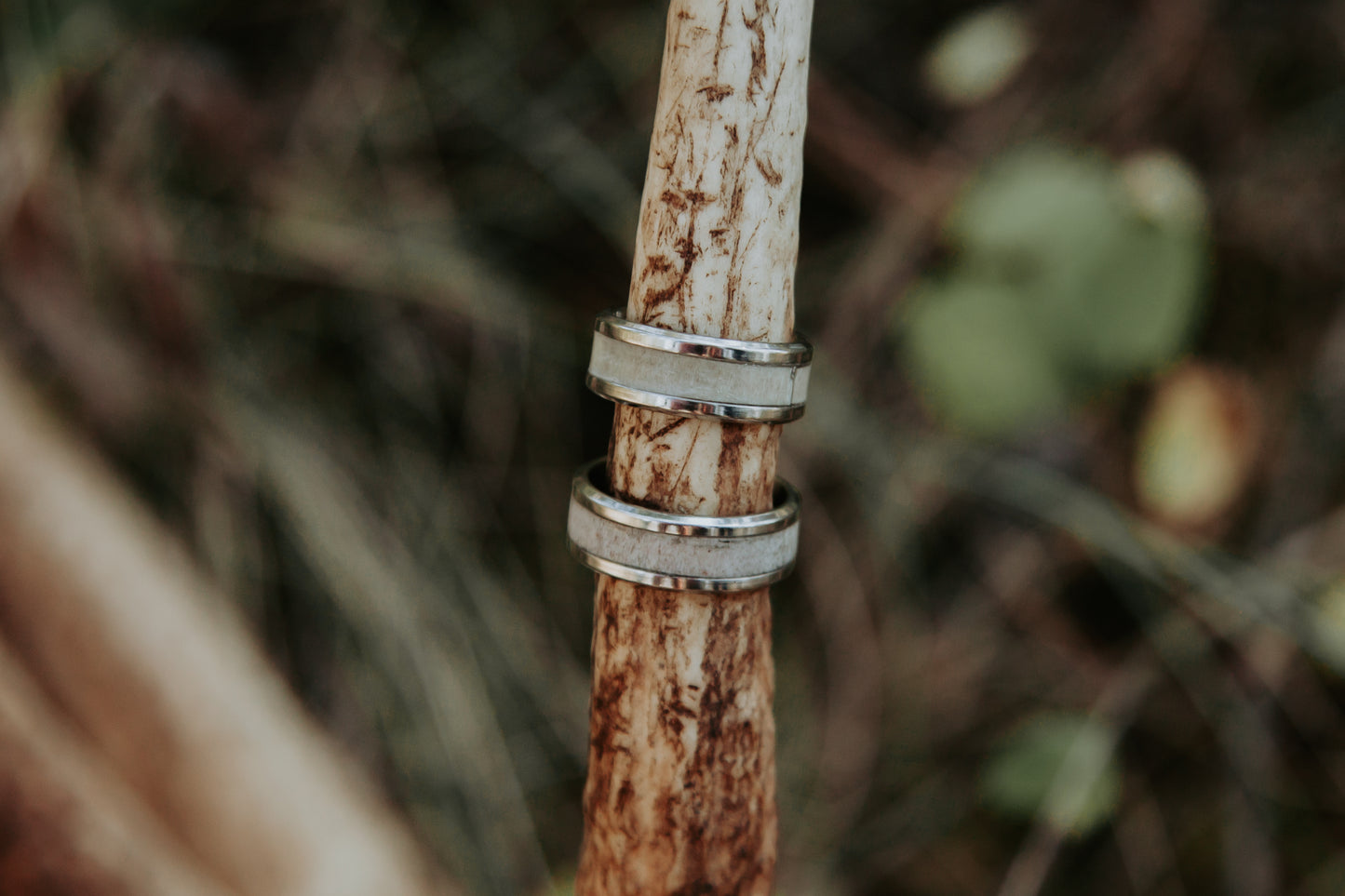 Stainless Antler Ring