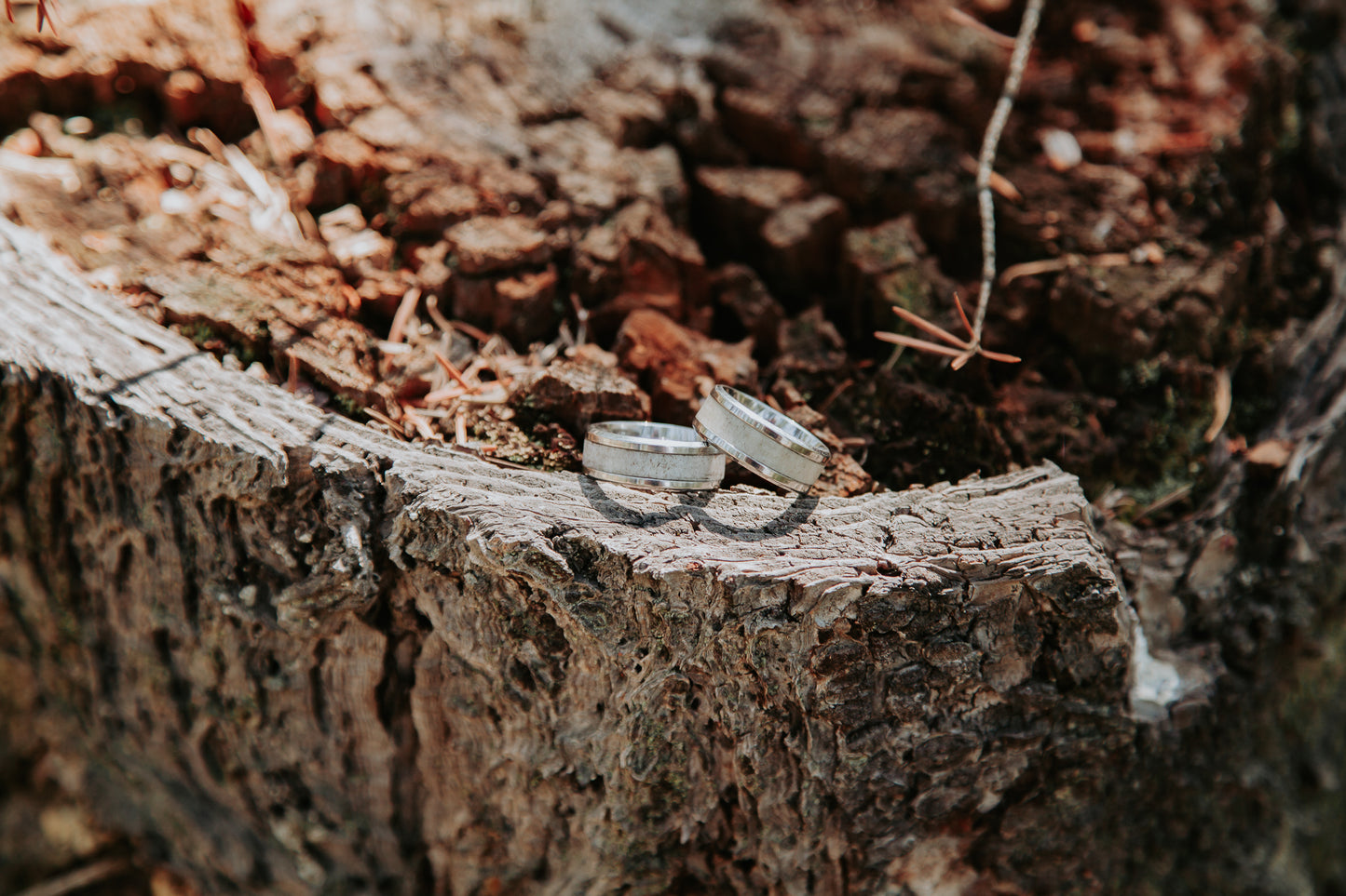 Stainless Antler Ring