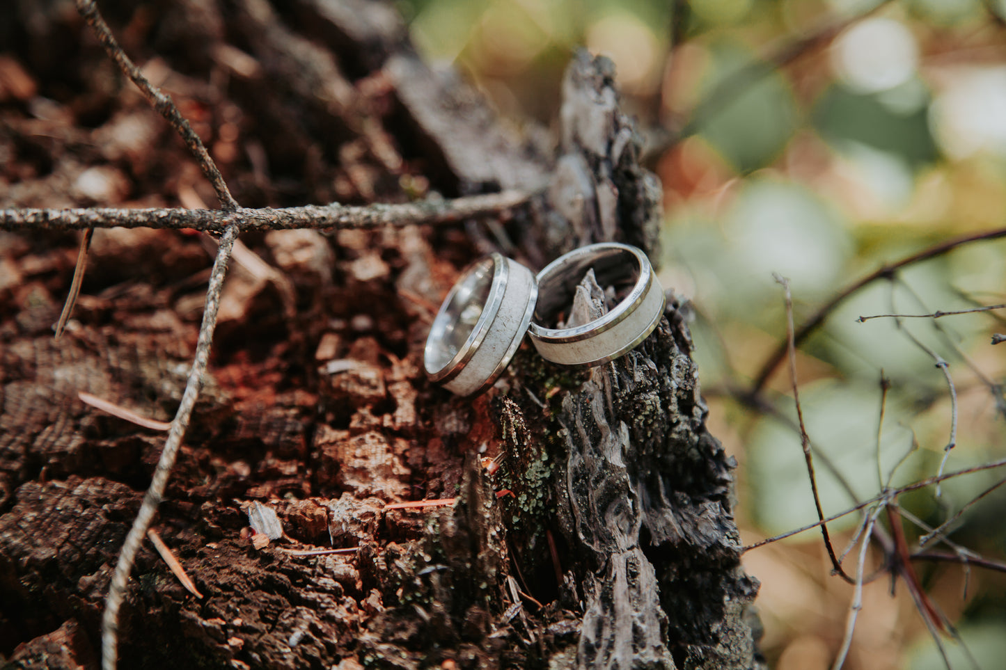 Stainless Antler Ring