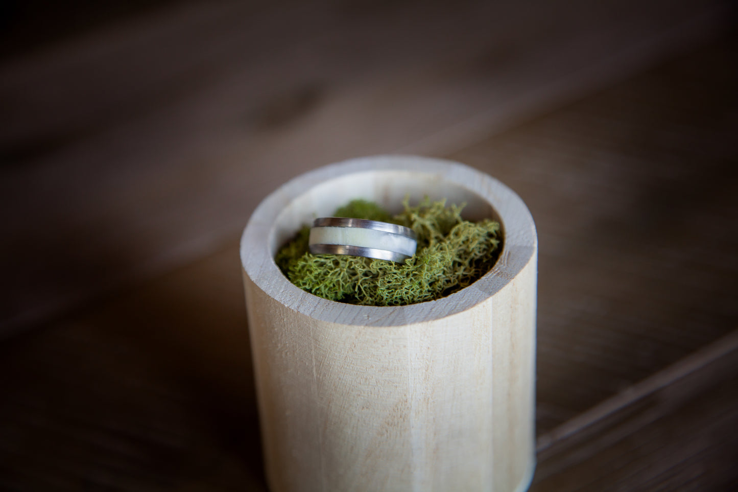 Titanium Antler Ring