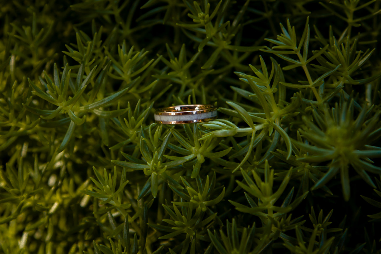 Rose Gold Plated Tungsten Antler Ring