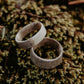 Antler Band