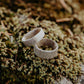 Antler Band
