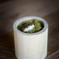Tungsten Antler Ring