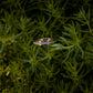 Rose Gold Plated Tungsten Antler Ring