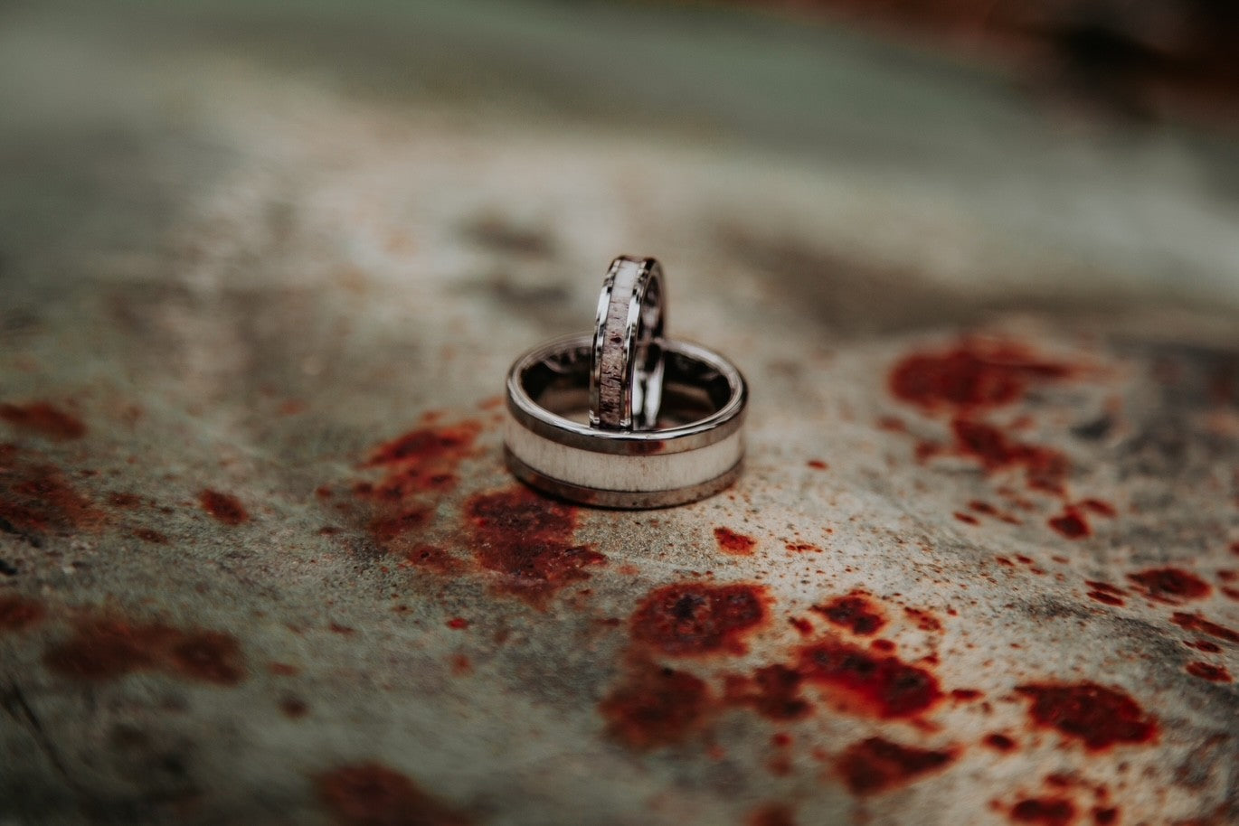 Tungsten Antler Ring